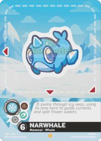 Narwhale